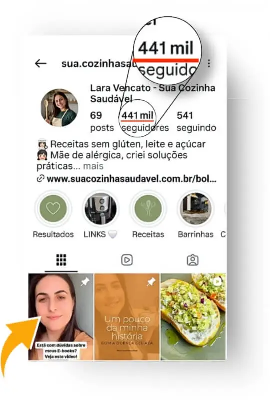 Perfil Instagram @sua.cozinhasaudavel com 344 mil seguidores